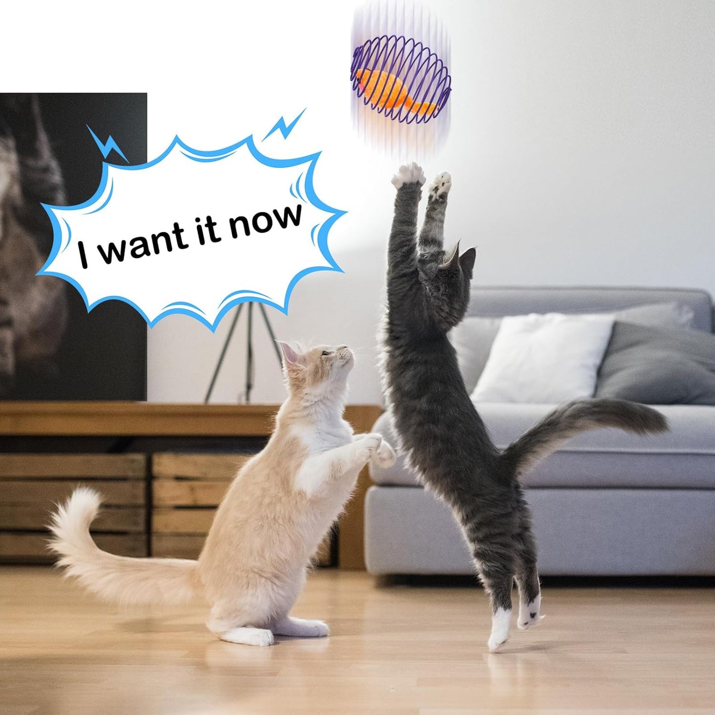 5 Pcs Cat Spring Balls Toys Stretchable