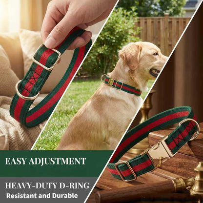 Premium Dog Collar, Cute Dog Collars