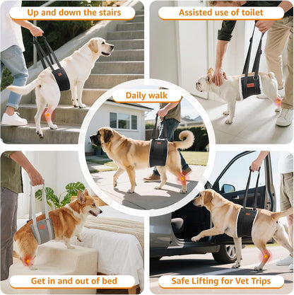 Portable Dog Sling for Back Legs