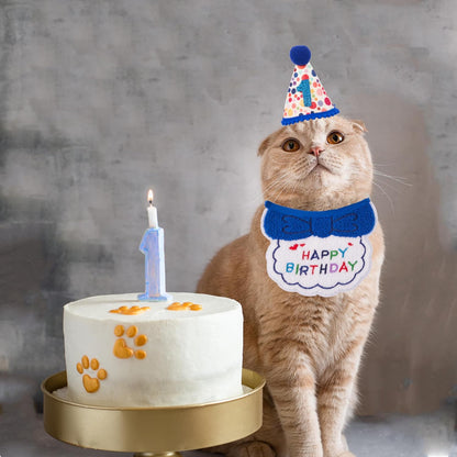 Cat Birthday Party Supplies Blue Boy Cat