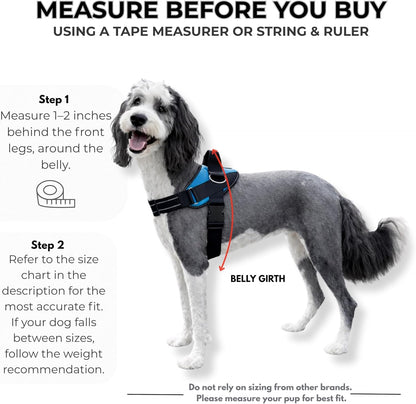 Essential Dog Harness, No-Pull Pet Vest 