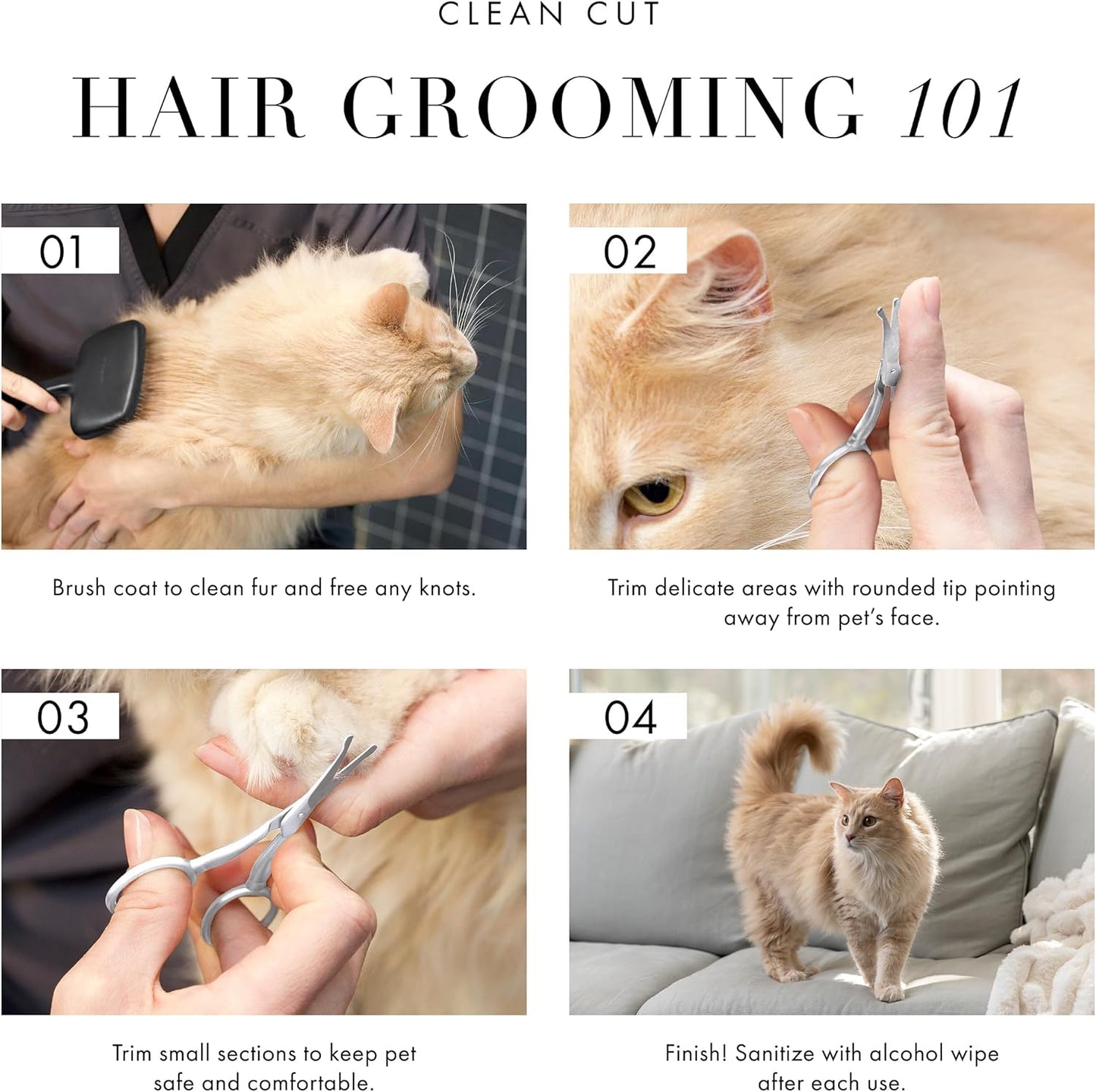 Pet Grooming Scissors, Stainless Steel