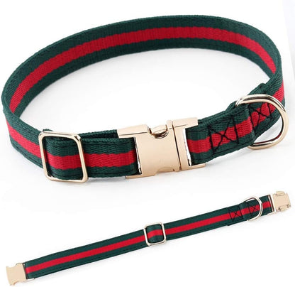 Premium Dog Collar, Cute Dog Collars
