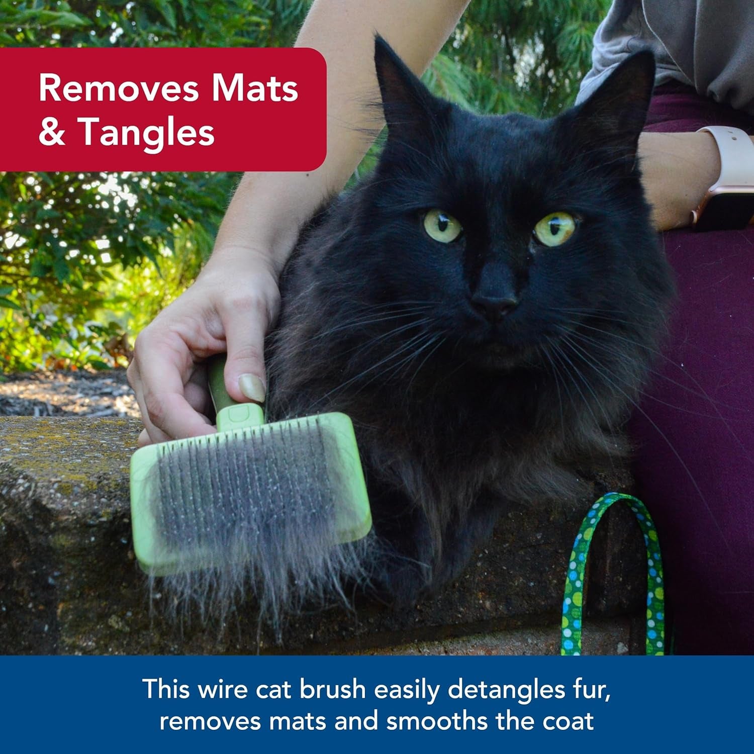 Pet Safari - Cat Self-Cleaning Slicker 