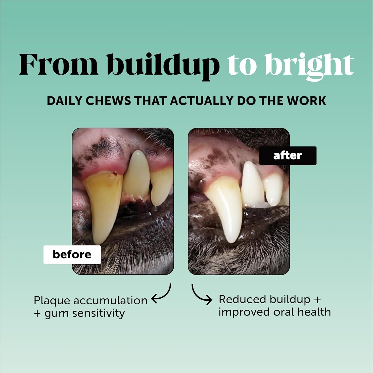 Brush Buddies All Natural Dog Dental 