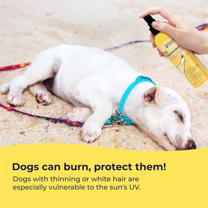 Dog Sunscreen -SPF 30+ with Moisturizing