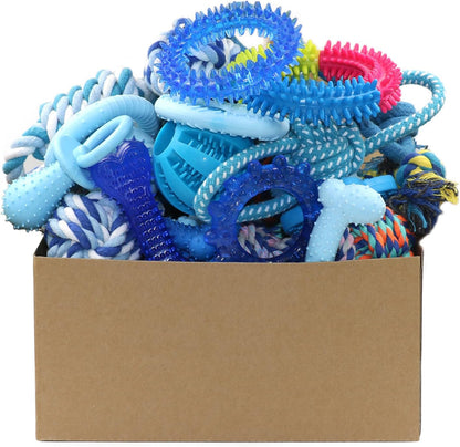 20 Pack Puppy Chew Toys - Blue Dog