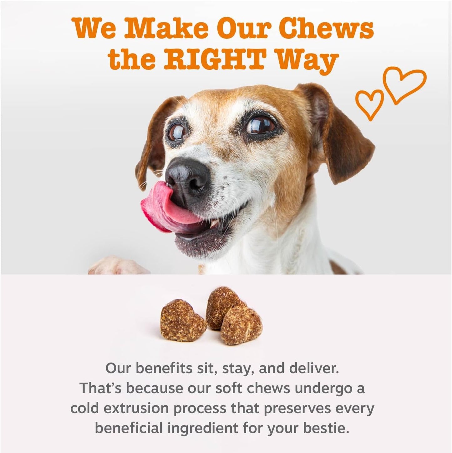 Dog Multivitamin, Chewable Dog Vitamins