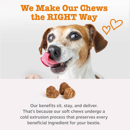 Dog Multivitamin, Chewable Dog Vitamins
