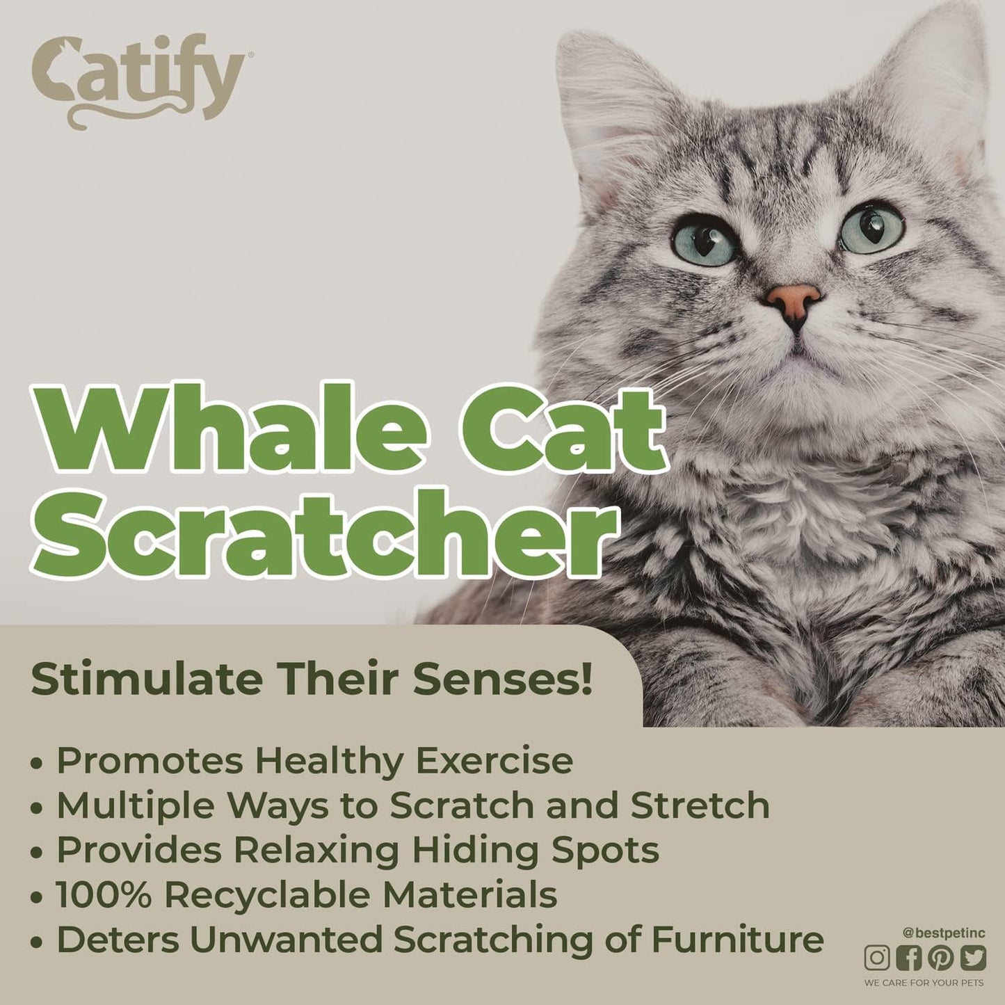 Catify Cat Scratcher, Fun Interactive 
