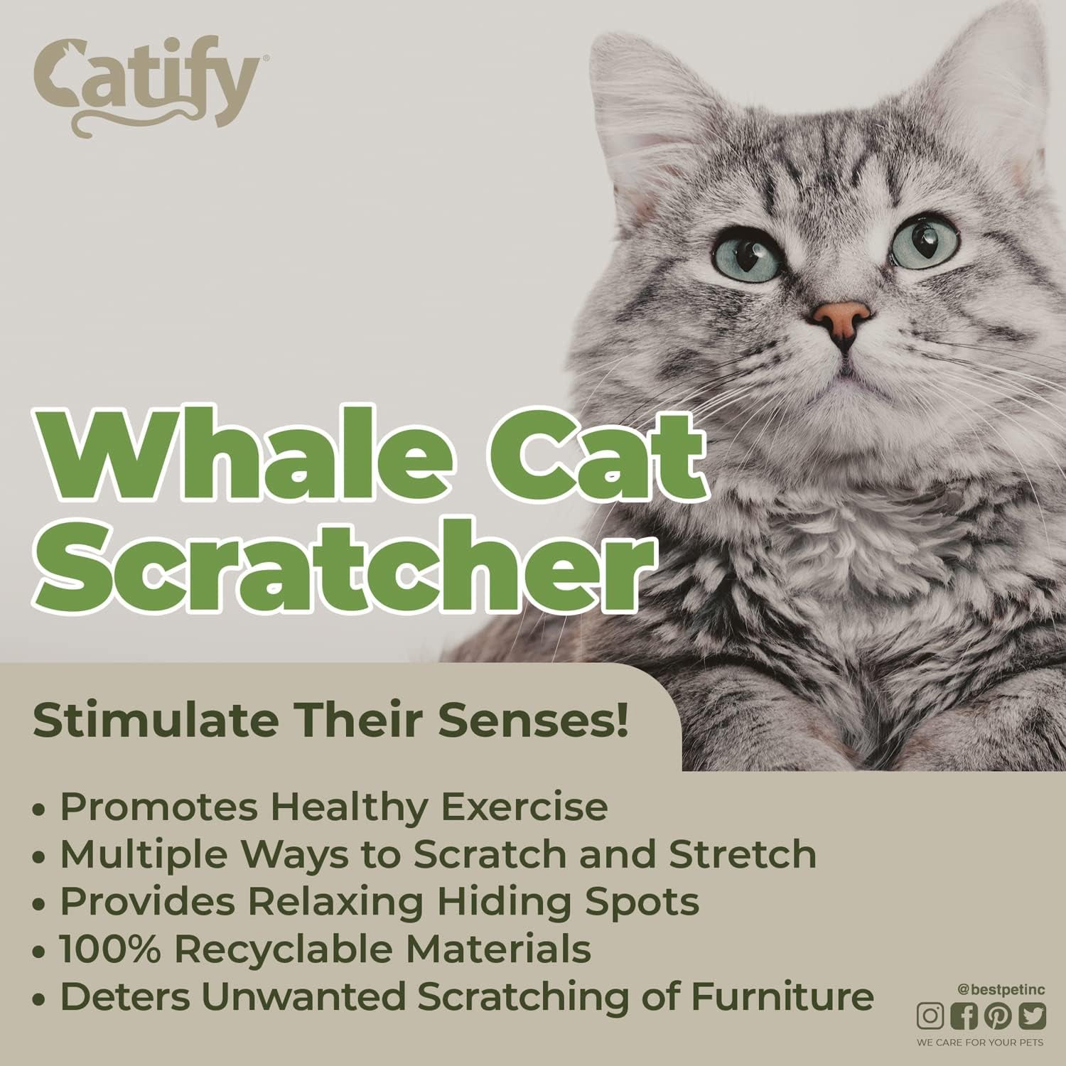 Catify Cat Scratcher, Fun Interactive 