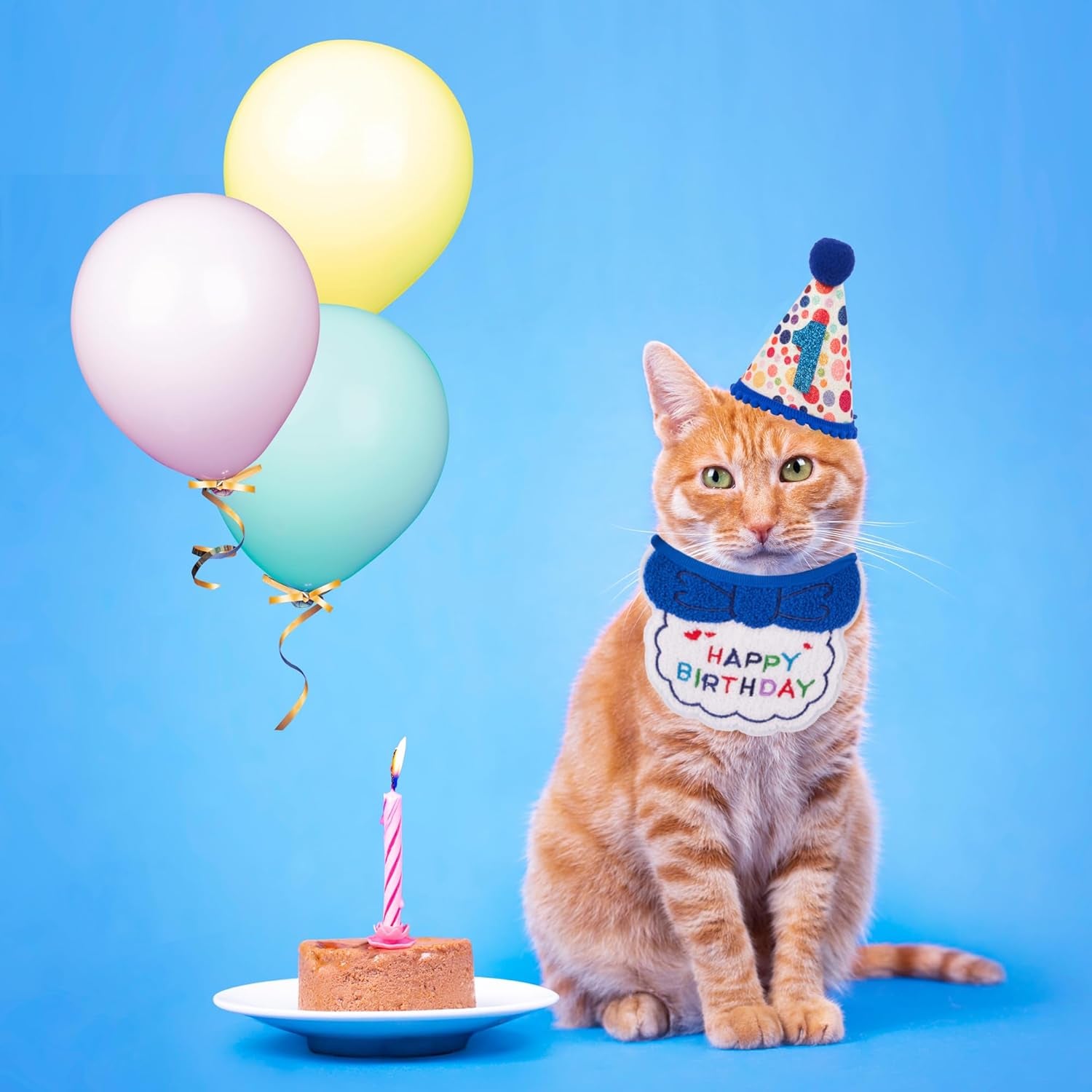 Cat Birthday Party Supplies Blue Boy Cat