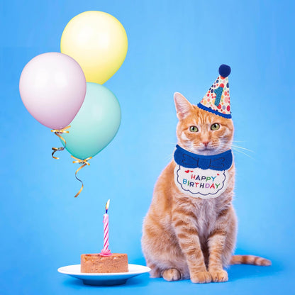 Cat Birthday Party Supplies Blue Boy Cat