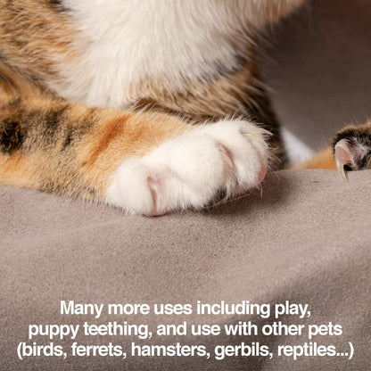 Multipurpose Pet Glove for Grooming