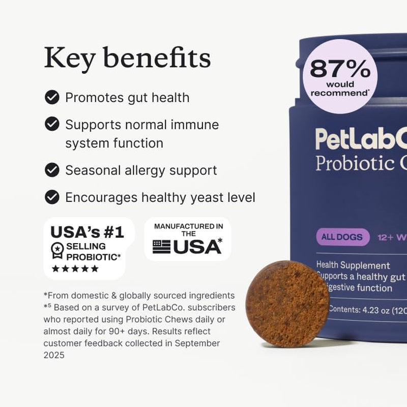 Probiotics for Dogs, Support Gut Health