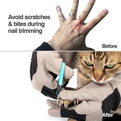 Multipurpose Pet Glove for Grooming