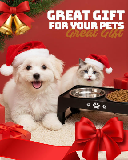 Elevated Dog Bowls for Small Dogs 