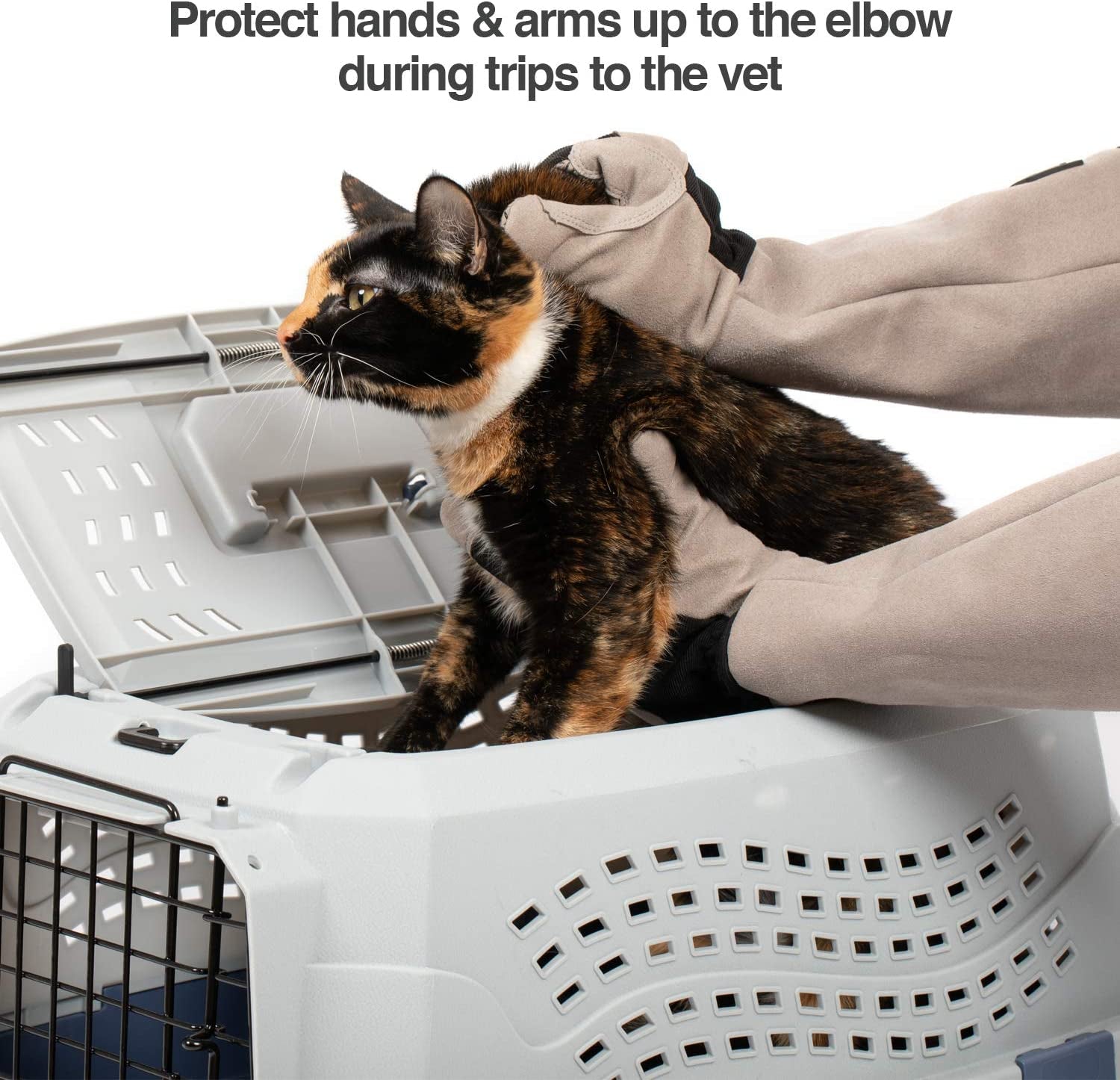 Multipurpose Pet Glove for Grooming