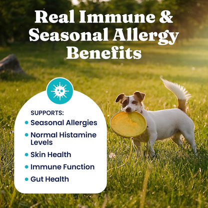 Dog Allergy Relief Chews - Dog Itching