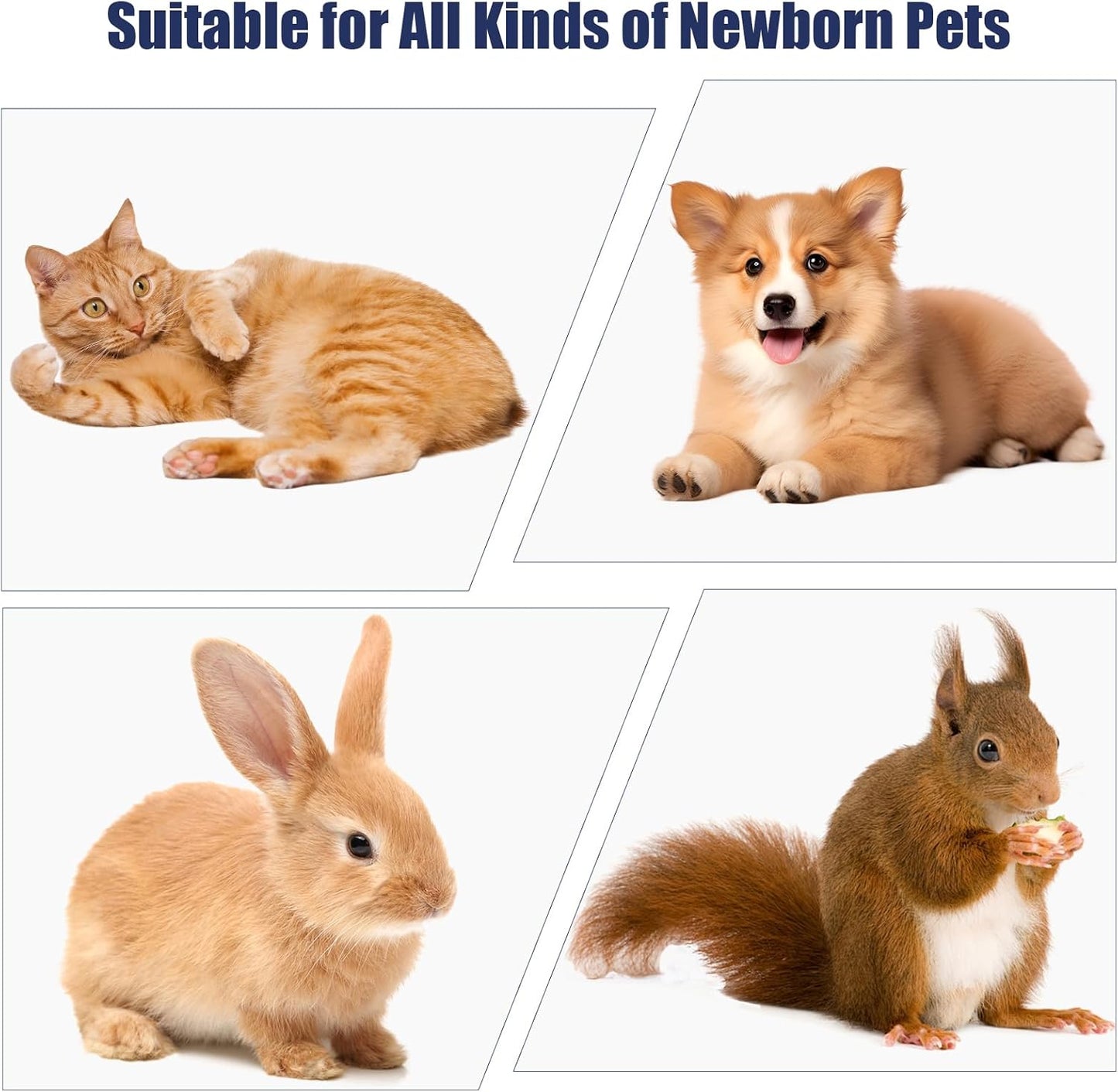 Newborn Puppy Kitten Small Animal Steril