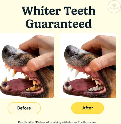 Dog Toothbrush360 Dog Tooth Brushing Kit