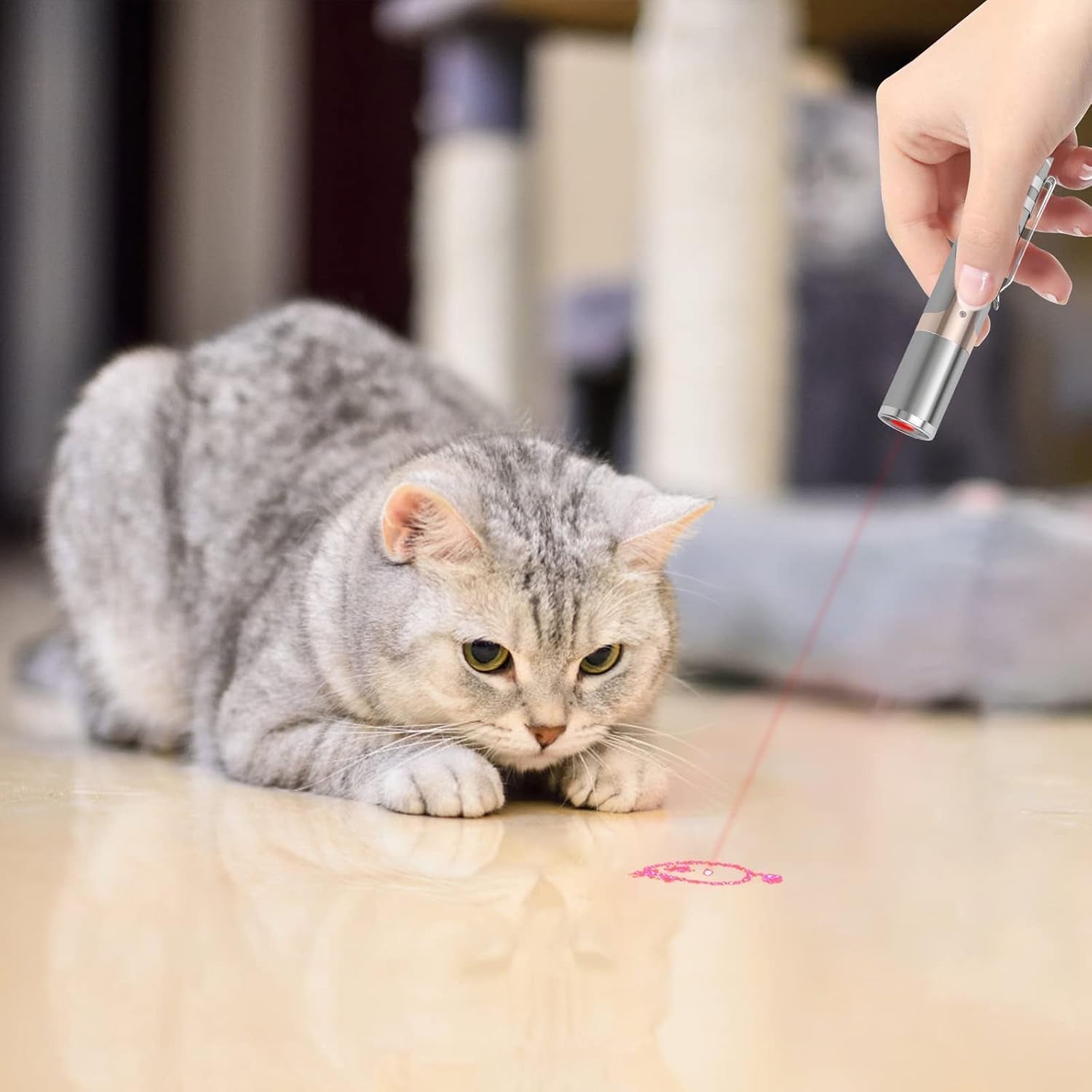 Cat Toys, with Metal Case, 2 Pieces