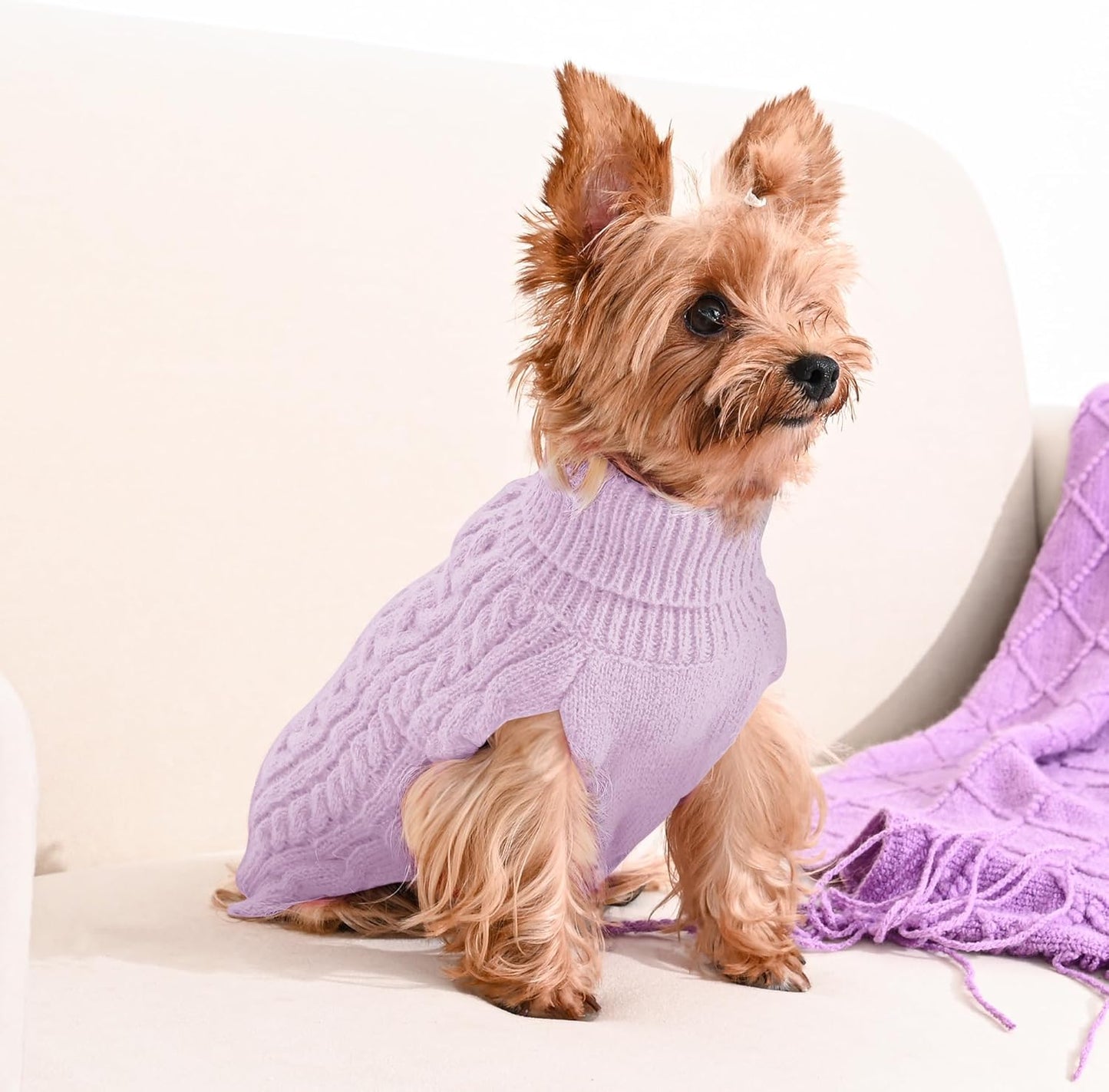 2 Pack Dog Sweaters for Small Dog Winter