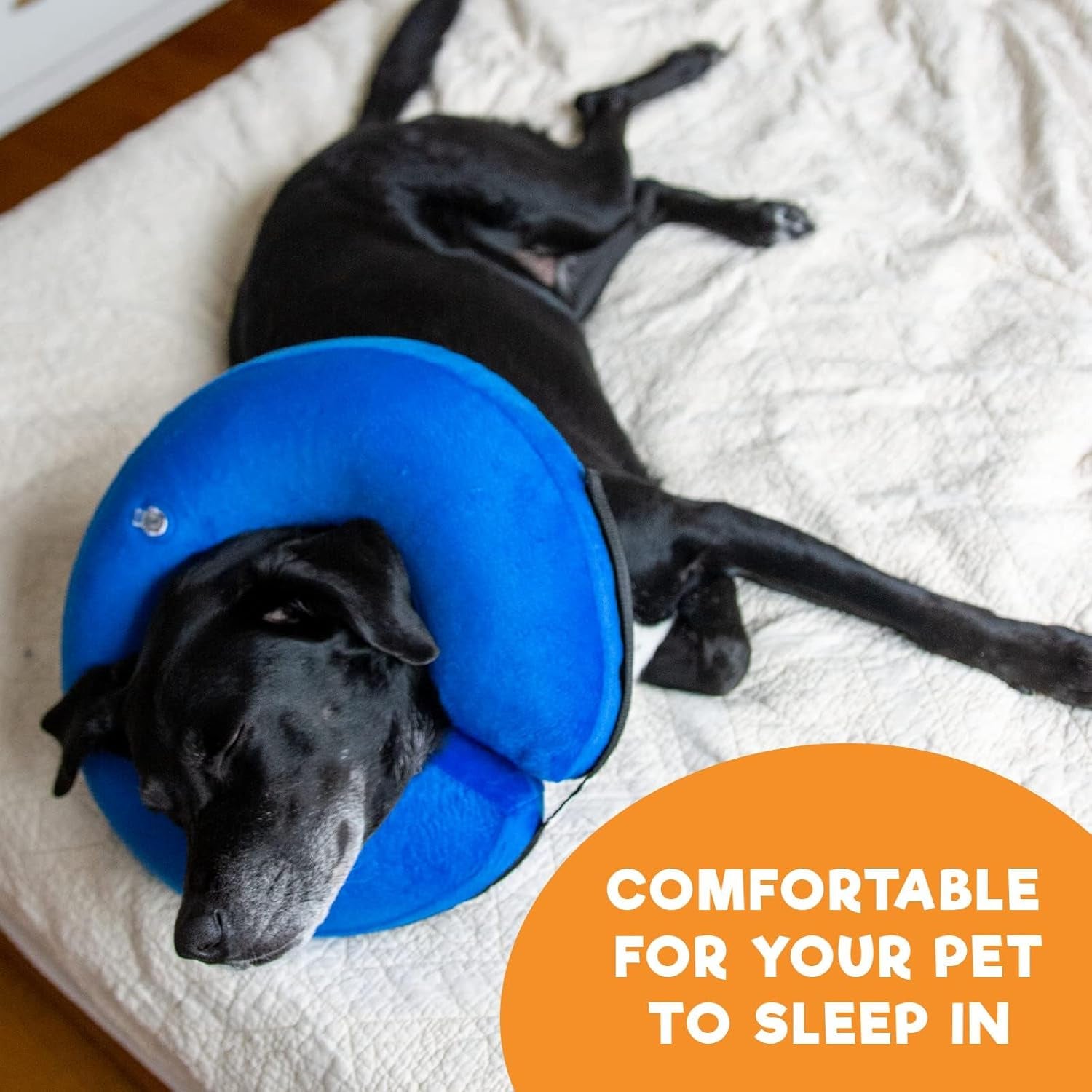 Inflatable Dog Cone Collar Alternative