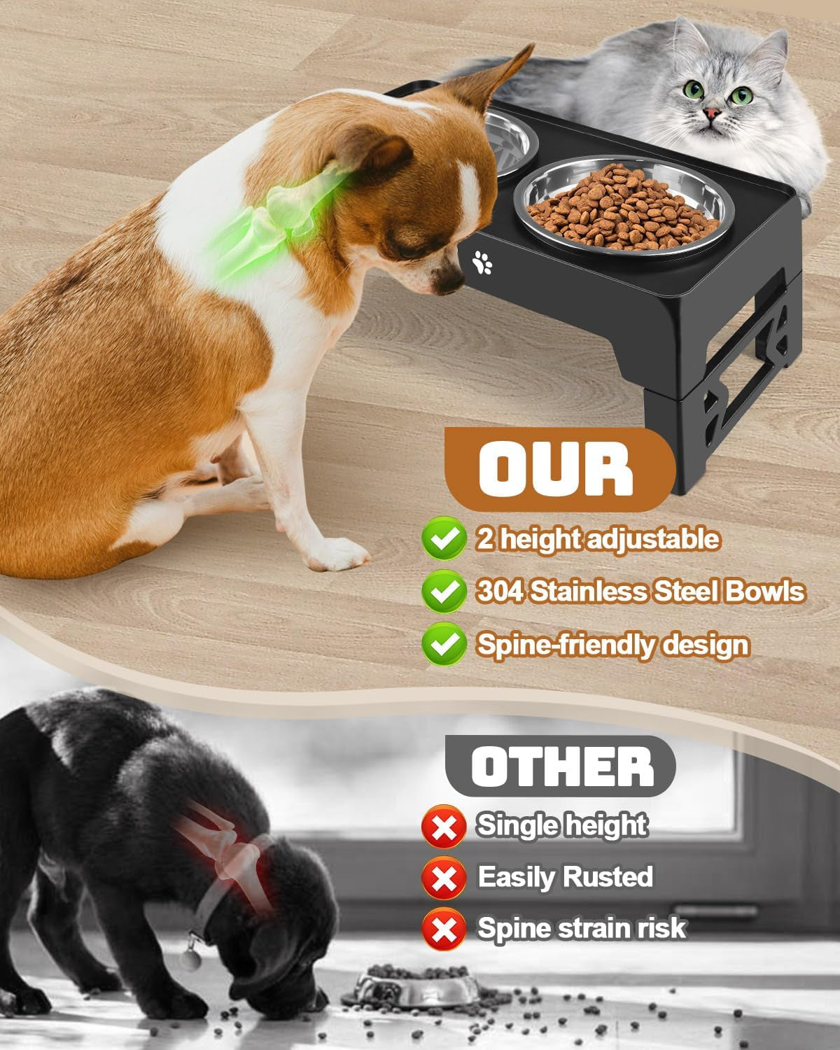 Elevated Dog Bowls for Small Dogs 