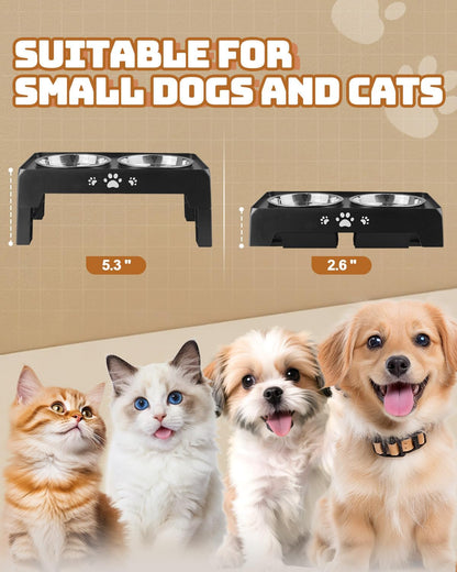 Elevated Dog Bowls for Small Dogs 