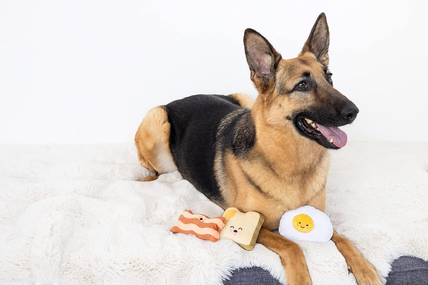 Barkfast Dog Toys, Set of 3, Plush Pet