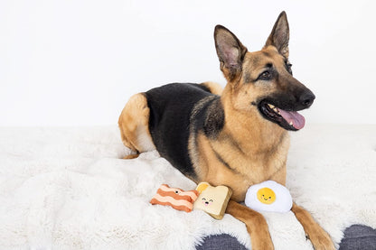 Barkfast Dog Toys, Set of 3, Plush Pet