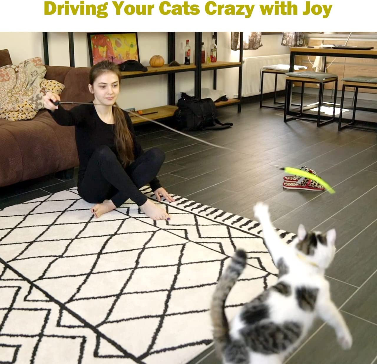 Cat Toys for Indoor Cats, Interactive 