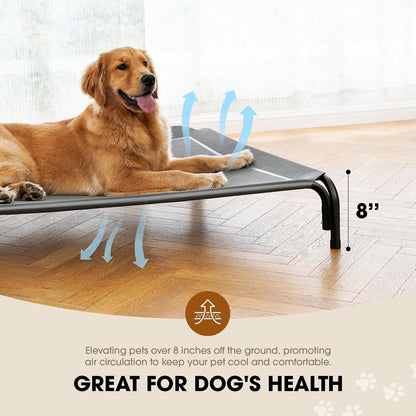 Elevated Dog Bed, Raised Outdoor Dog Bed