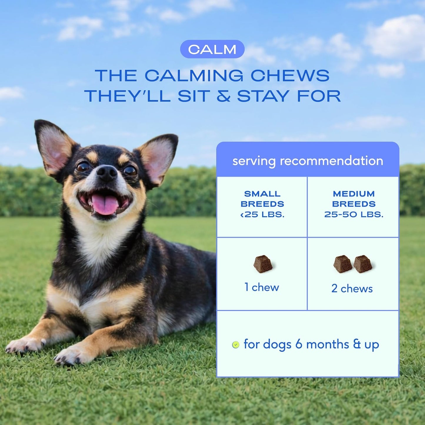 Calming Chews for Dogs Small Breed 