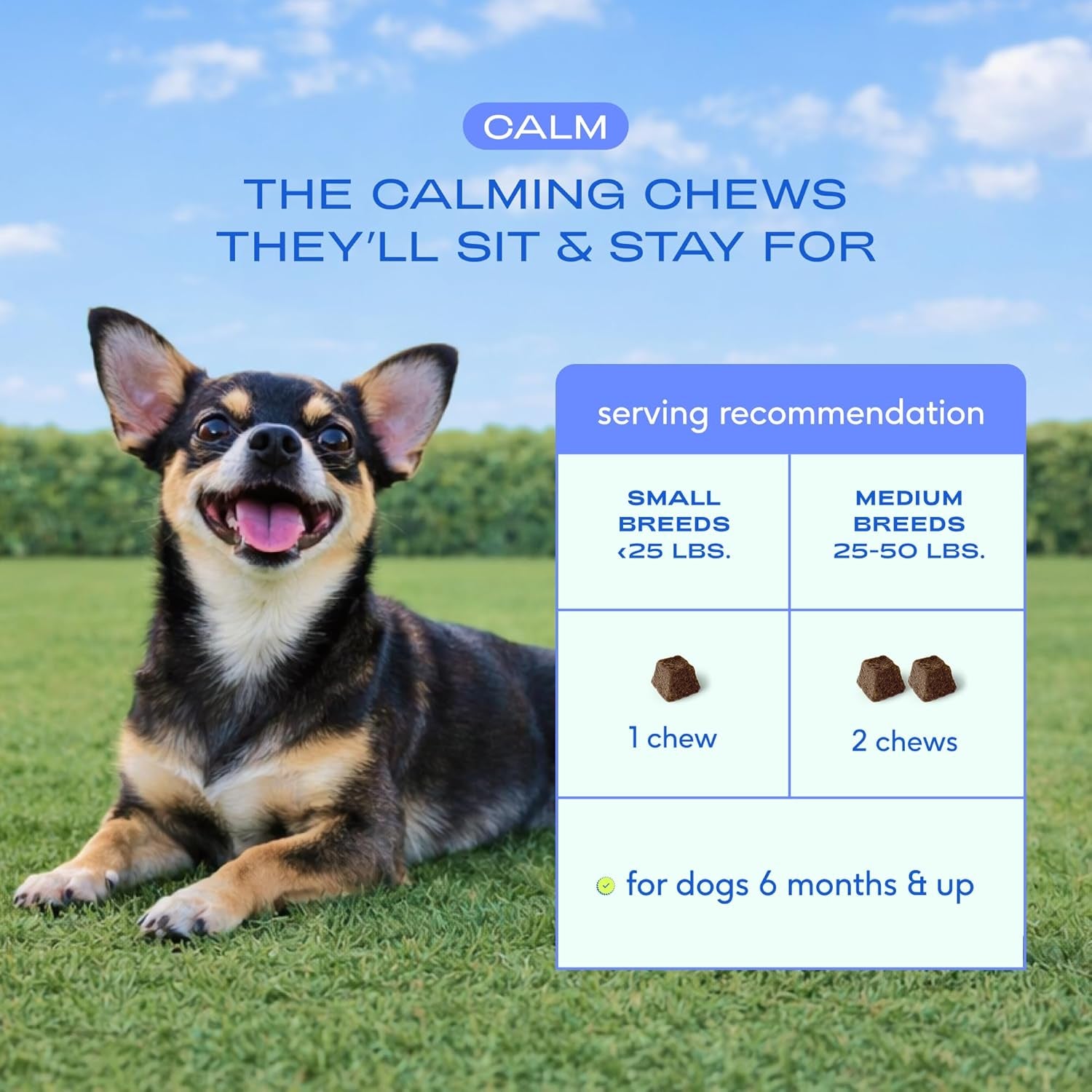 Calming Chews for Dogs Small Breed 