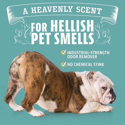 Pet Odor Eliminator for Dog ,Cat Urine