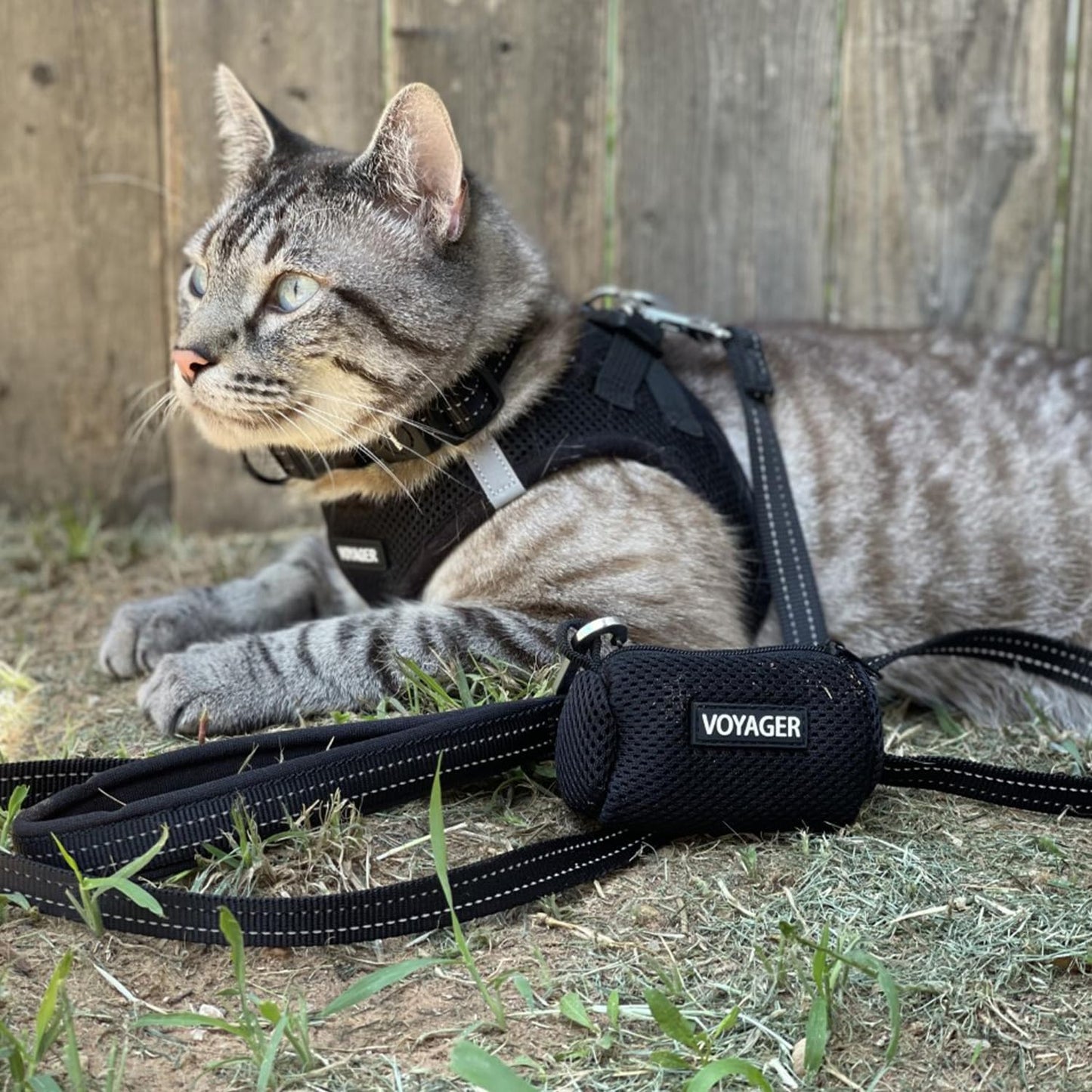Voyager Step-In Pet Harness All Weather