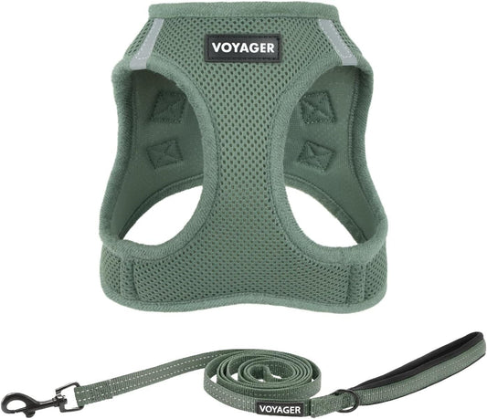 Voyager Step-In Air All Weather Mesh 