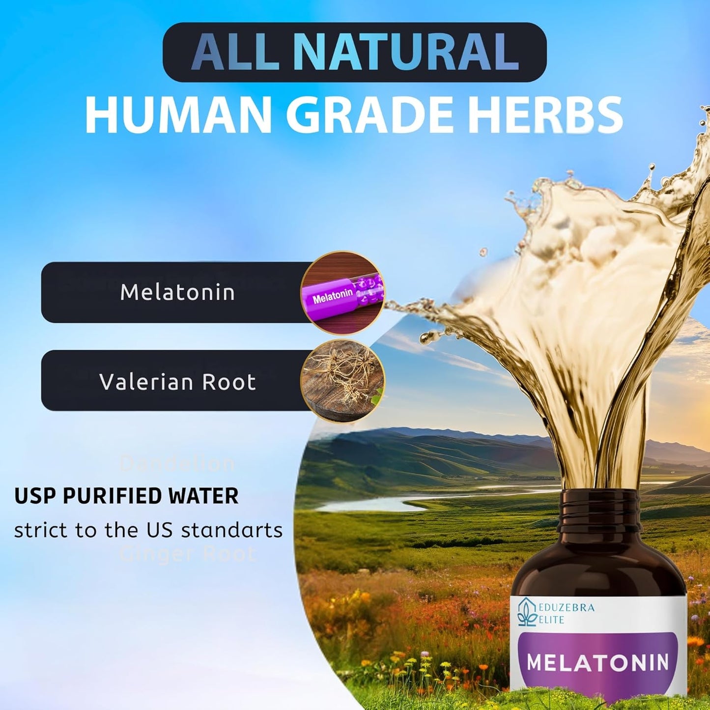 Cat Melatonin, Melatonin for Cats
