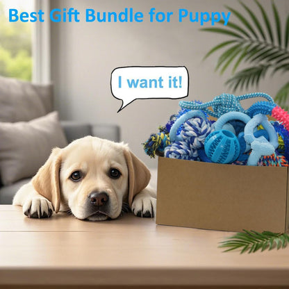 20 Pack Puppy Chew Toys - Blue Dog