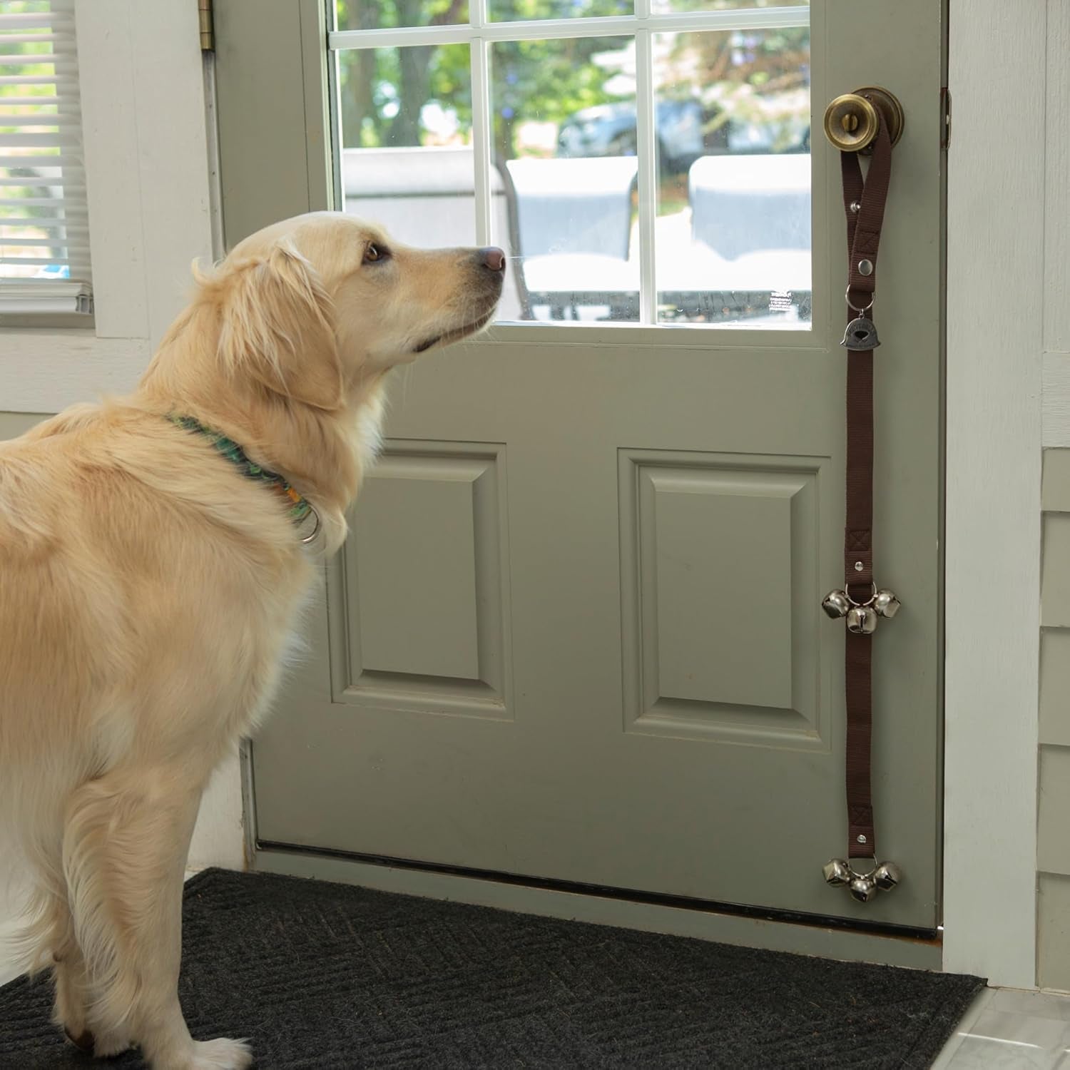 Dog Potty Bells, Dog Door Bell, Bells 