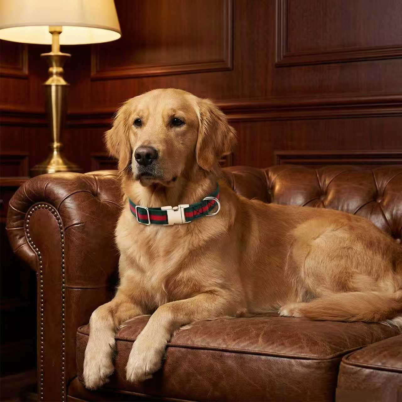 Premium Dog Collar, Cute Dog Collars