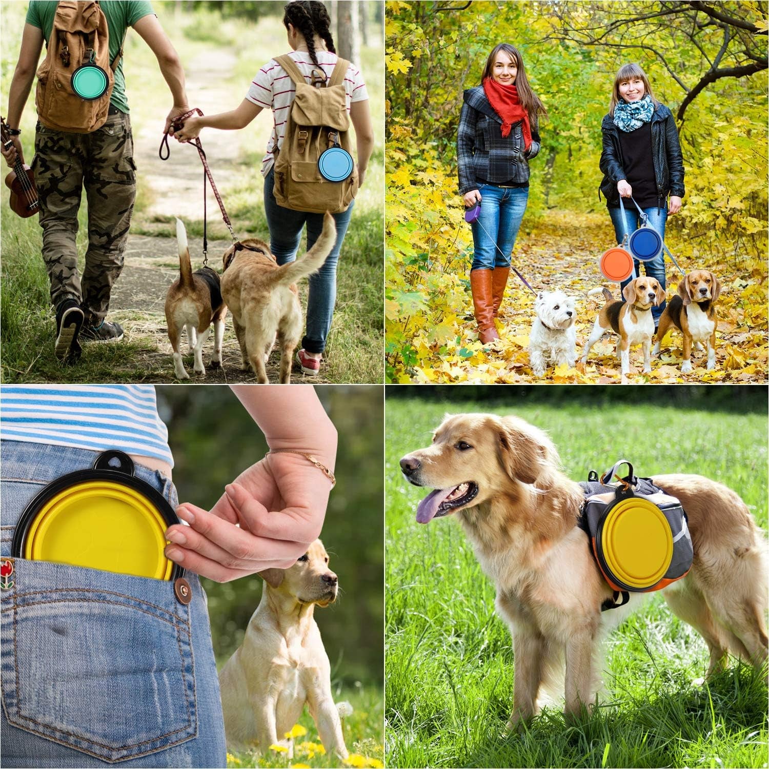 Collapsible Dog Bowl for Travel (12Oz)