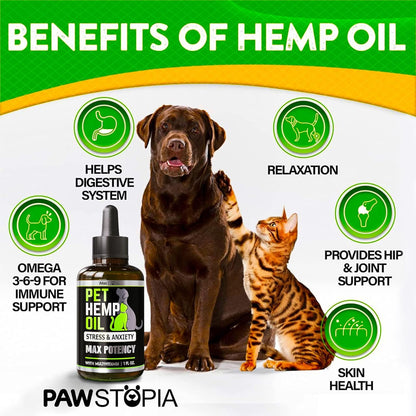 (2 Pack) Hemp Oil for Dogs and Cats 