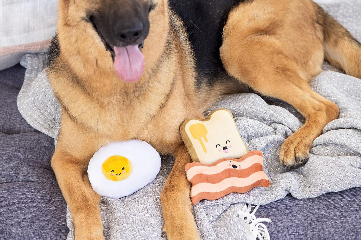 Barkfast Dog Toys, Set of 3, Plush Pet
