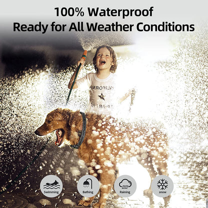 Dog Bark Collar Rechargeable Smart Collar