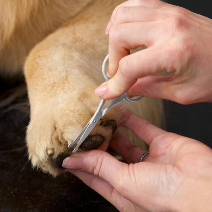 Pet Grooming Scissors, Stainless Steel