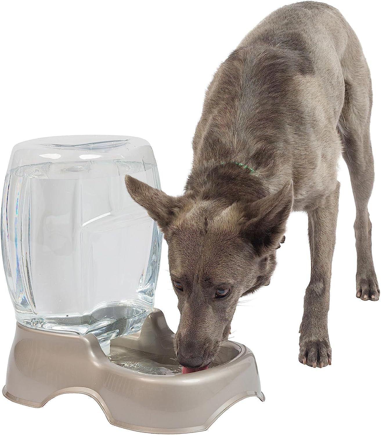 Pet Cafe Cat and Dog Water Dispenser 