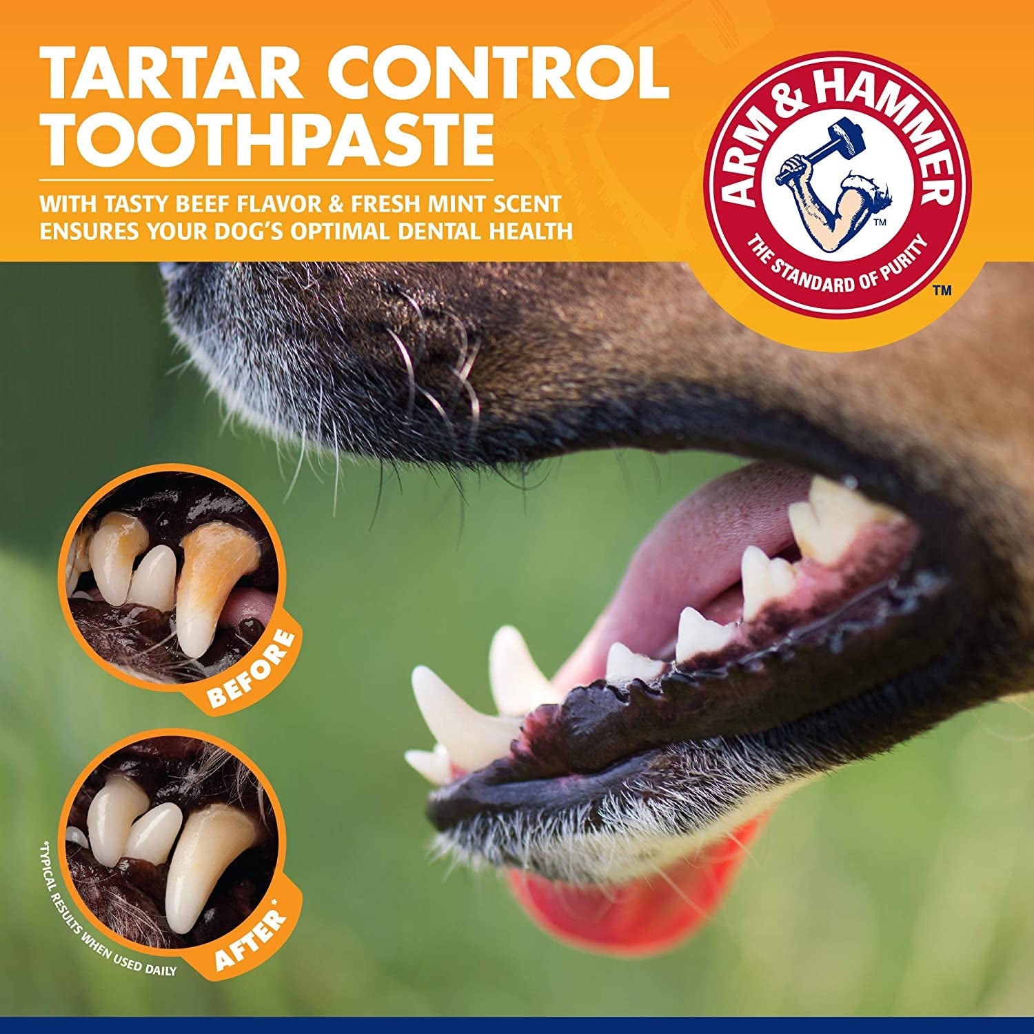 for Pets Tartar Control Dog Dental Kit